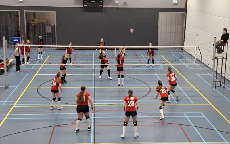 Verslag 31 januari 2026